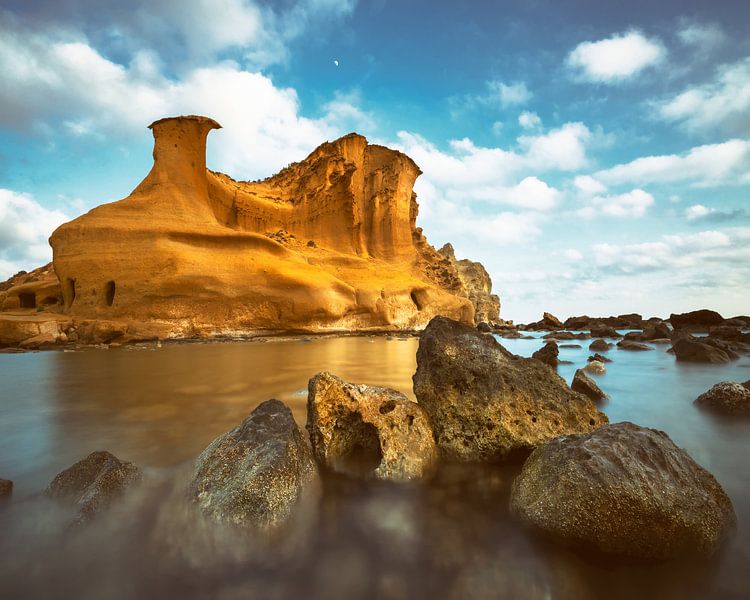 Die majestätische Pulpi, Spanien von Lars van de Goor