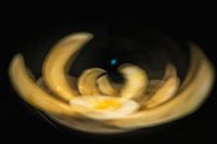 Spargel a la flamande 2