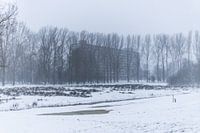 a flat hidden behind the trees