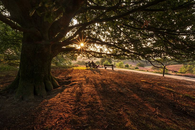 Profiter de la nature par Moetwil en van Dijk - Fotografie