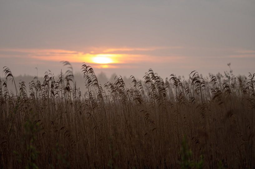 Park Lingezegen Teil 13 von Tania Perneel