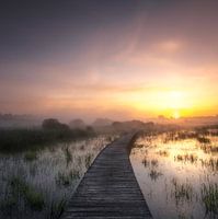 Nebliger Sonnenaufgang