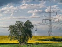 Brandenburger Rapsodie - 10