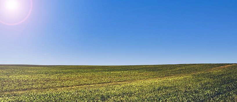 Menschenleer. Horizont Foto eines Feldes im Sommer bei Sonnenschein von Jakob Baranowski - Photography - Video - Photoshop