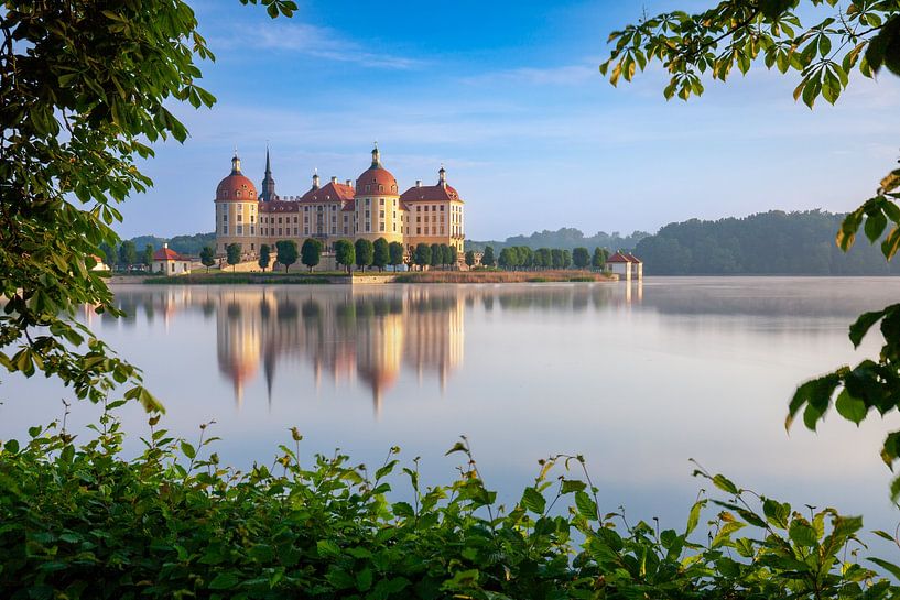 Moritzburg Castle at sunrise by Tilo Grellmann