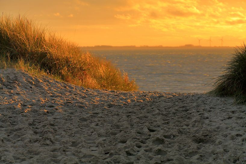 Studie: De Kaloot, Borssele - Zeeland von Patrice Domenique Troost