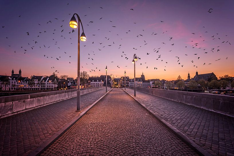 Sankt-Servatius-Brücke von Aron Nijs