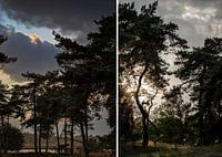 Diptychon Herbst: Bedrohlich und in gleißendem Licht.