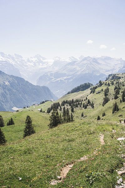 Summer in Switzerland by Patrycja Polechonska