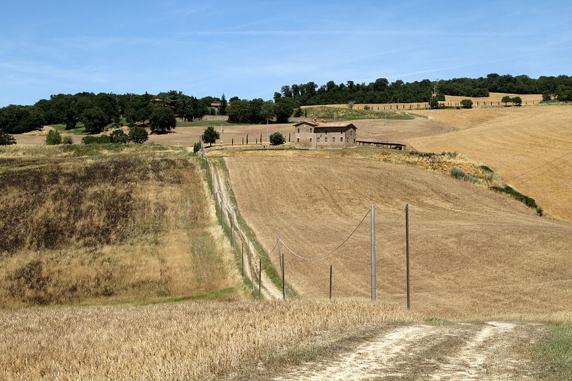 Tuscan landscape by Sander Miedema