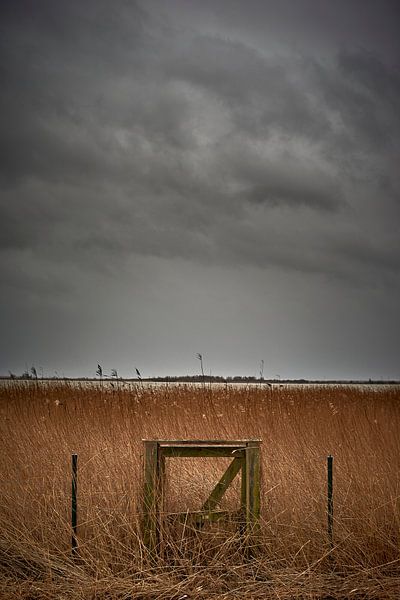 Oostvaardersplassen par Jenco van Zalk