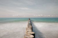 Abstrack & Minimalimus