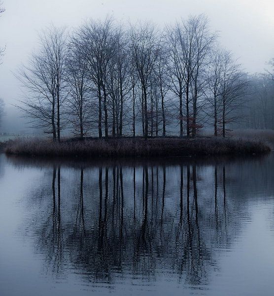 Reflection by Anita van Gendt