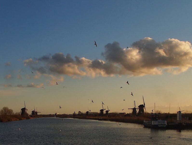 Kinderdijk von Annemieke van der Wiel