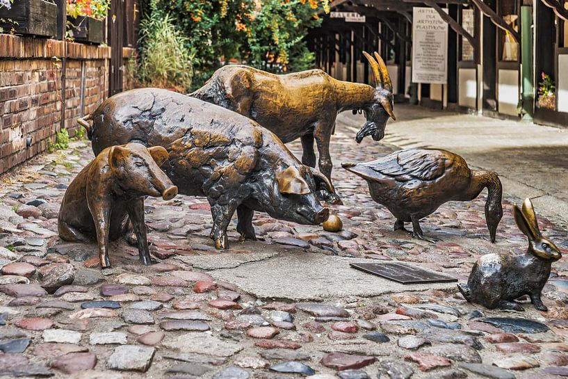  Wroclaw, Poland by Gunter Kirsch