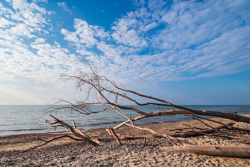 Strand an der Küste der Ostsee bei Graal Müritz von Rico Ködder