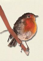 Rotkehlchen mit Schattenvogel Illustration