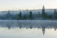 Morning mood at the Oderteich in the Harz III