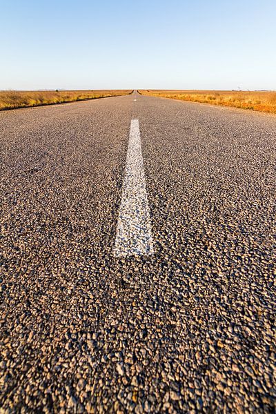 Road to Madagaskar by Dennis van de Water