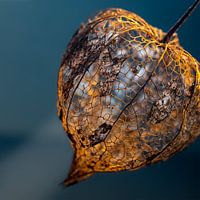 Stilleben mit japanischer Laterne