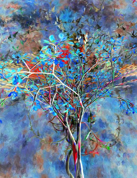 Autumn tree by Angel Estevez