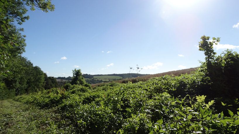 Een prachtige zonsopgang op de laatste  by Veluws
