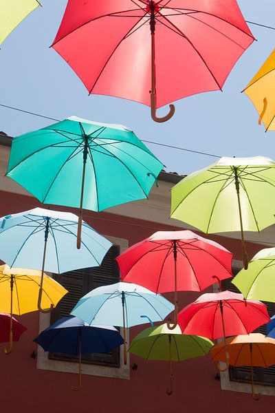 Regenschirm&#039;s von Eric Verhoeven