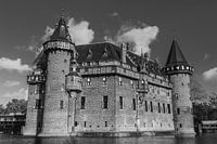 Kasteel de Haar