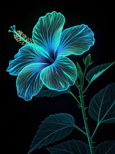 Ätherisch leuchtende blaue Hibiskusblüte - ein heiteres X-Ray Floral Art Piece auf Schwarz von Artistic