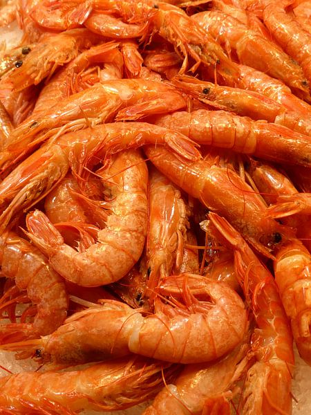 Garnalen, keuken van Anita Tromp