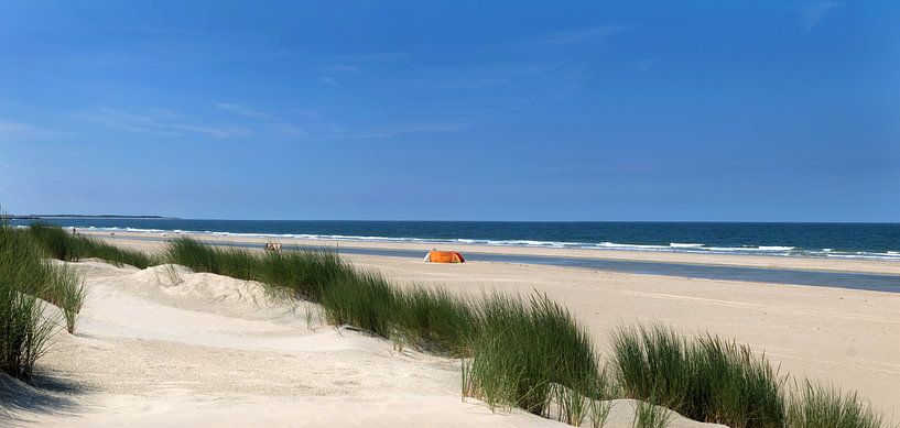 Dünen des Nordseestrandes von Karin vd Waal