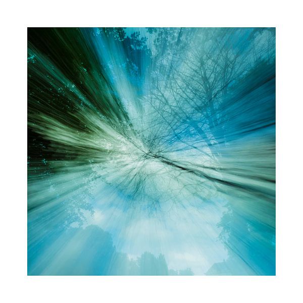 Zoom-Unschärfe-Fotografie von Mirna!  Fotografie