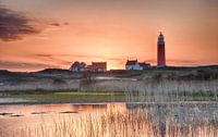 Sonnenuntergang Leuchtturm von Texel.