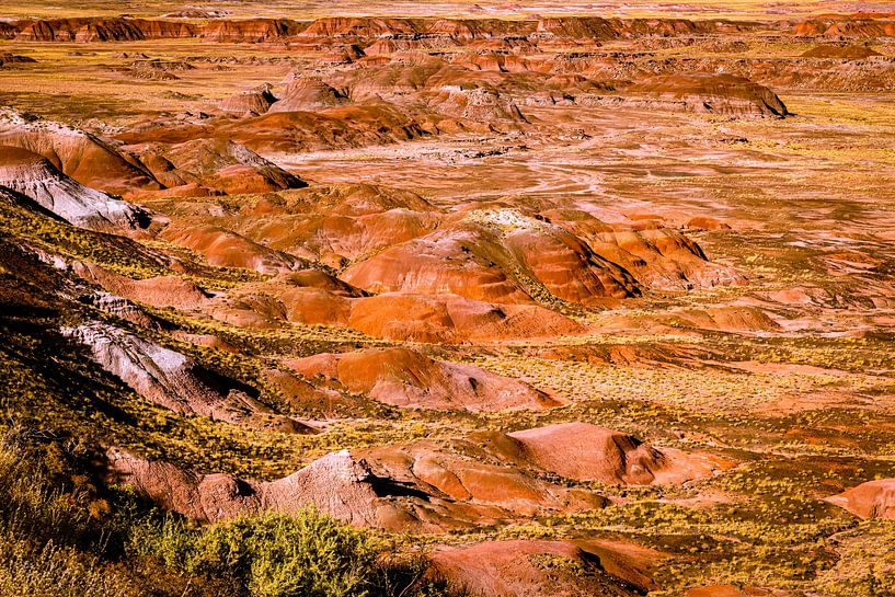Colorful hills and painted desert in petrified forest national park in Arizona USA by Dieter Walther