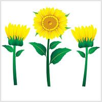Sonnenblumen-Illustration mit grünen Blättern auf gelbem Hintergrund
