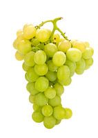 white grapes