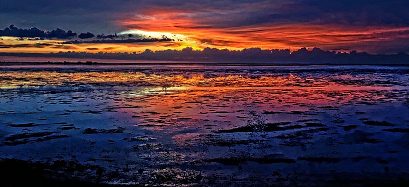 colorexplosion by rene schuiling