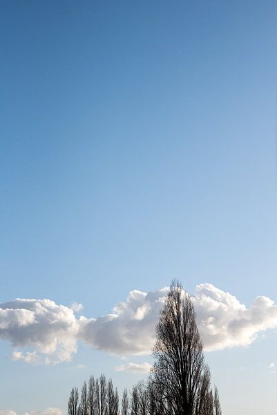 Kathedrale von Eva Overbeeke