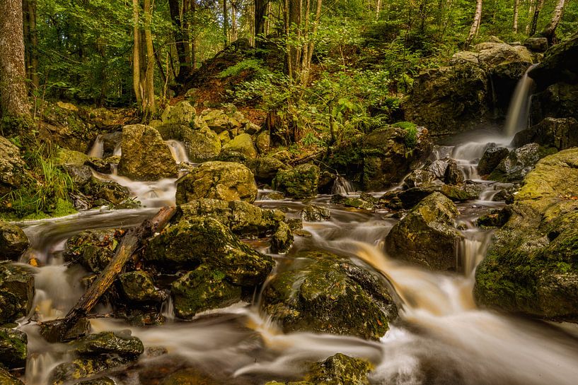 Cascade des Nutons: Ein kleiner Wasserfall in den Ardennen im Herbst von Bert Beckers