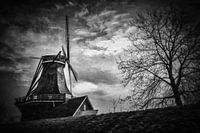 Das Flüstern der Windmühle