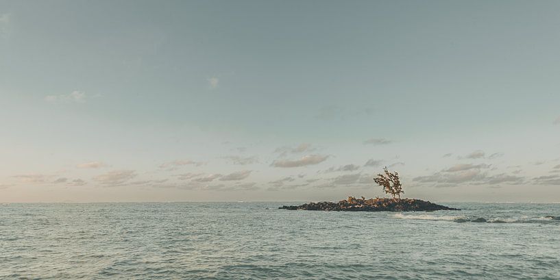 Eine Aussicht, die nie langweilig wird, Mauritius von Jonas Röjestål