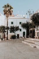 Italie | Pouilles | Bari | Maison italienne pastel | palmier