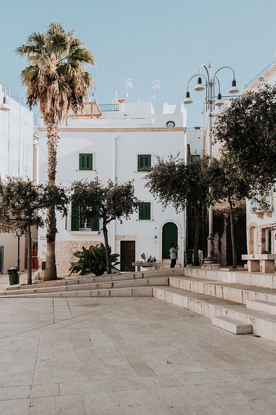 Italie | Pouilles | Bari | Maison italienne pastel | palmier par Iris van Tricht