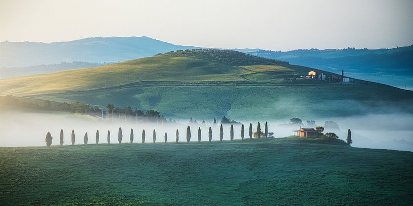 Italien Toskana Val d'Orcia im Nebel von Jean Claude Castor