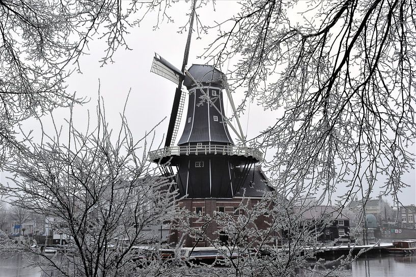 Molen de Adriaen von Susan Dekker
