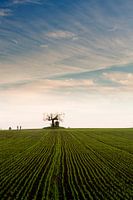 Galgenkapelle Holsbeek