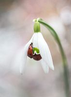 Jouer à cache-cache