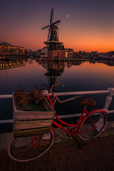 Adriaan 2 by peterheinspictures