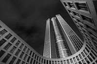 The black and white tower