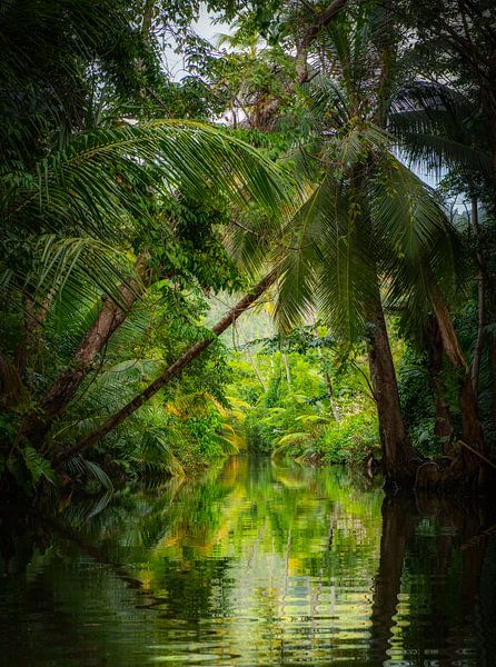 Indischer Fluss Dominica von Ron van der Stappen
